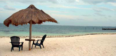 Beach Reads Banner